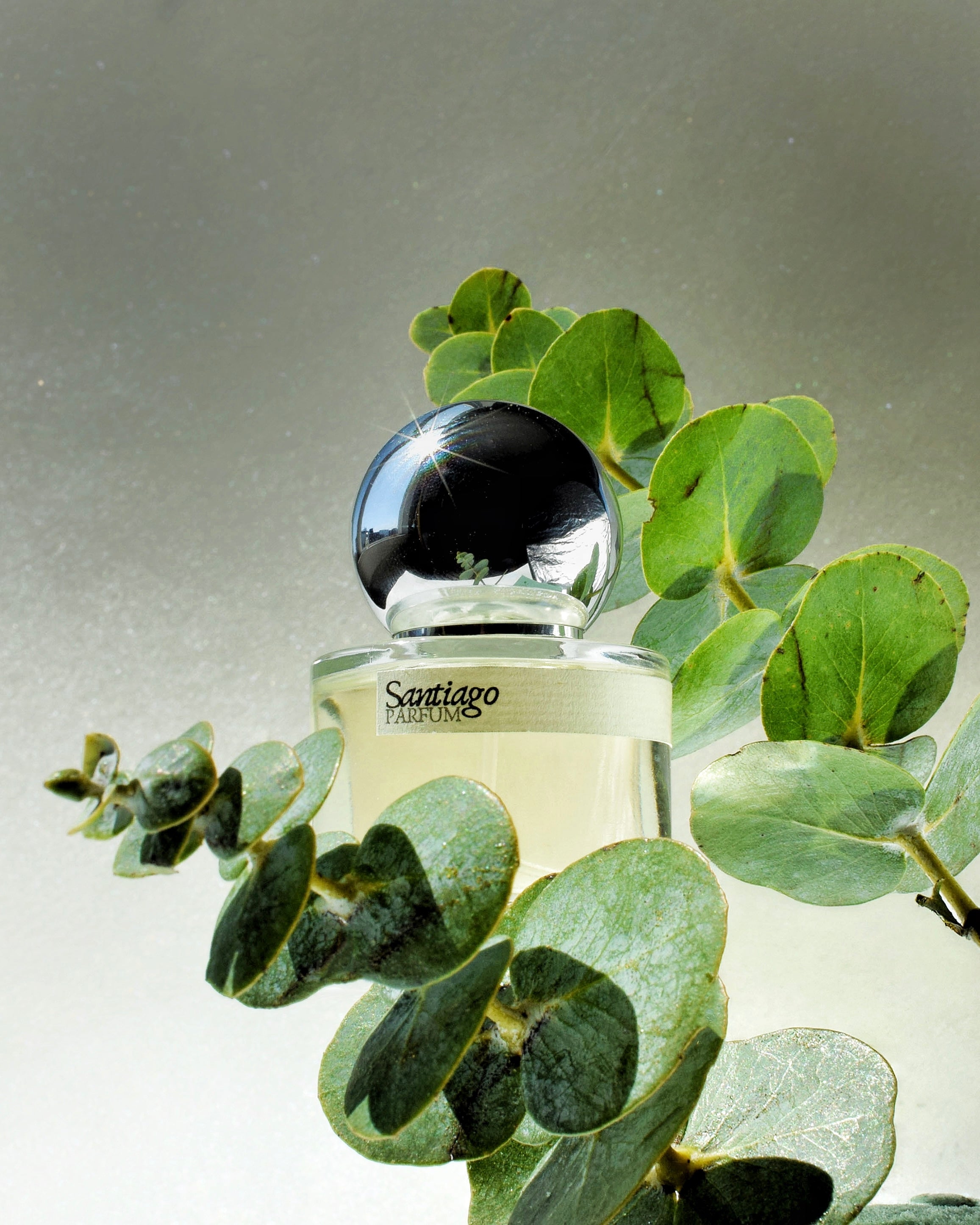 Santiago Parfum